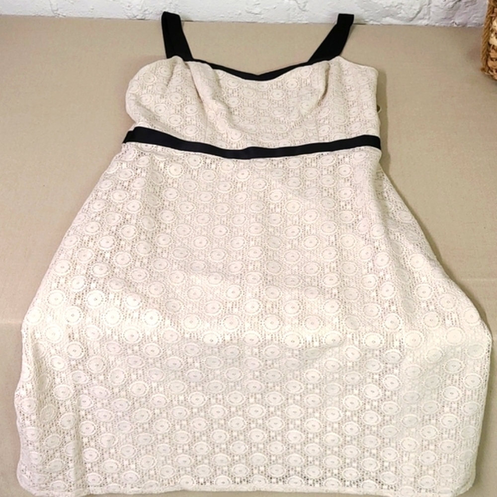 LOFT Lace Dress Cream and Black Size 8 Petite
